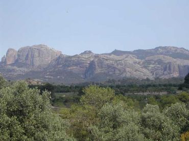 Terreny rústic en venda a Cretas