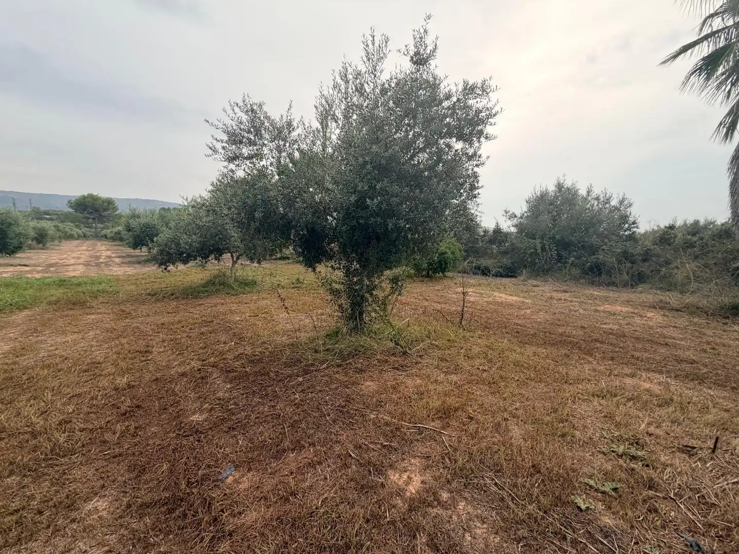 Residencial en venta en Benissoda, Valencia