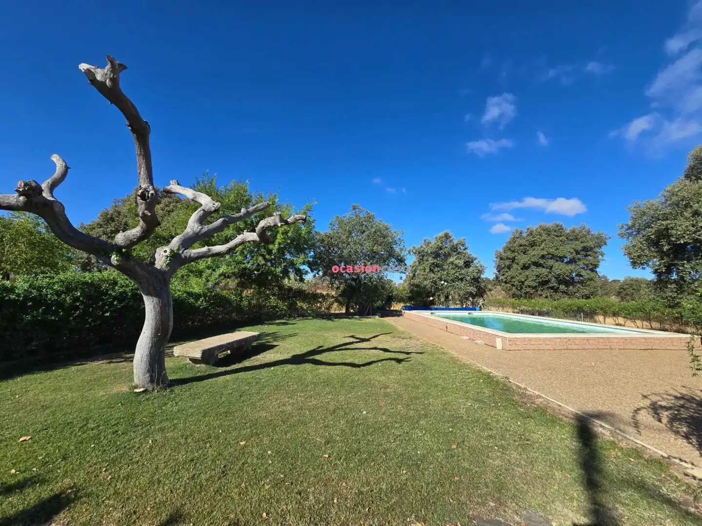 Piscina de Casa o xalet en venda en Alcaracejos amb Traster i Piscina