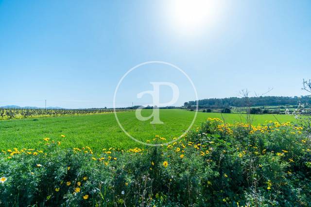 Terreno residencial en Venta en polígono 15 parcela 402 en Porreres