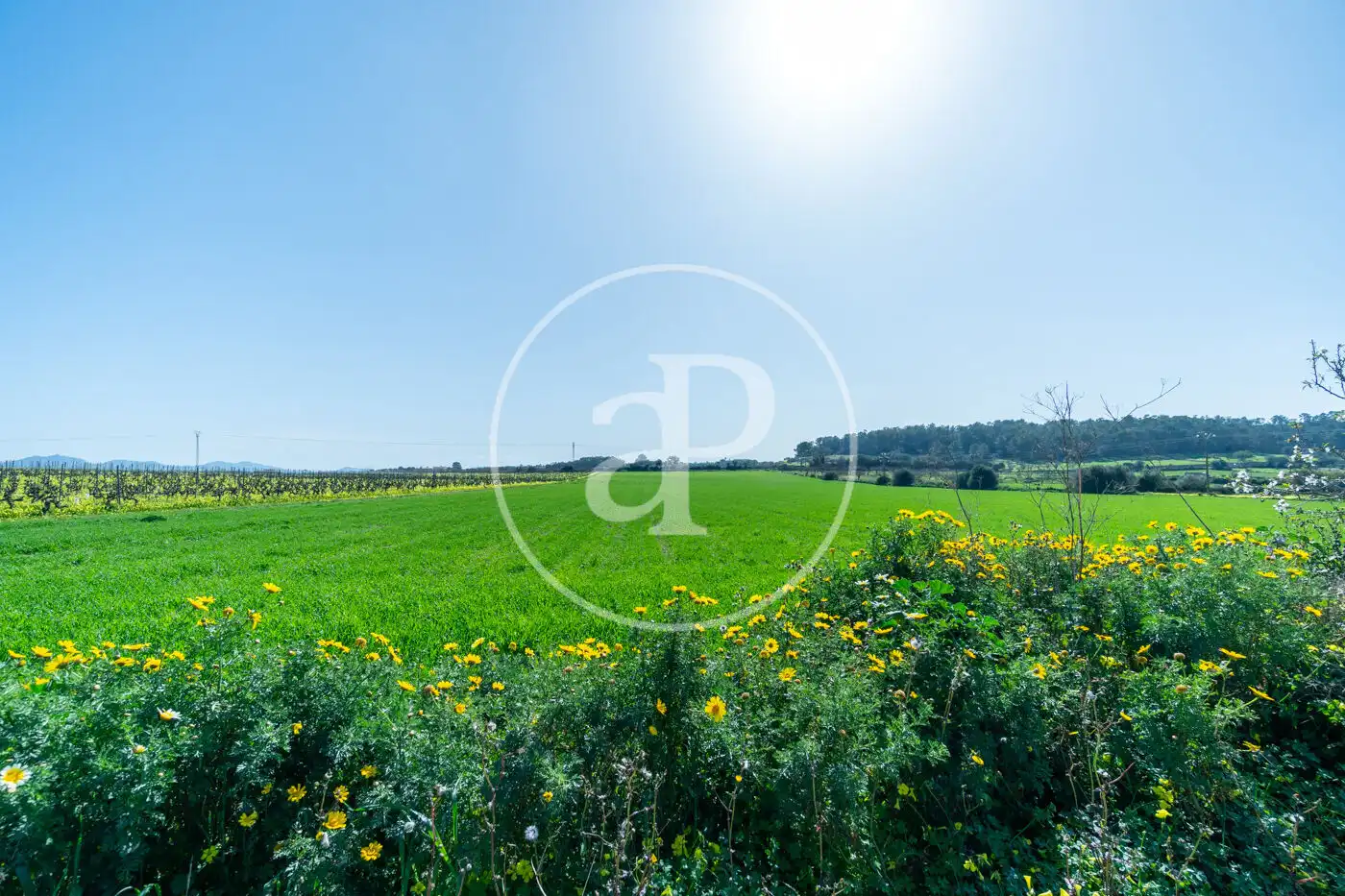 Residential for sale in Porreres