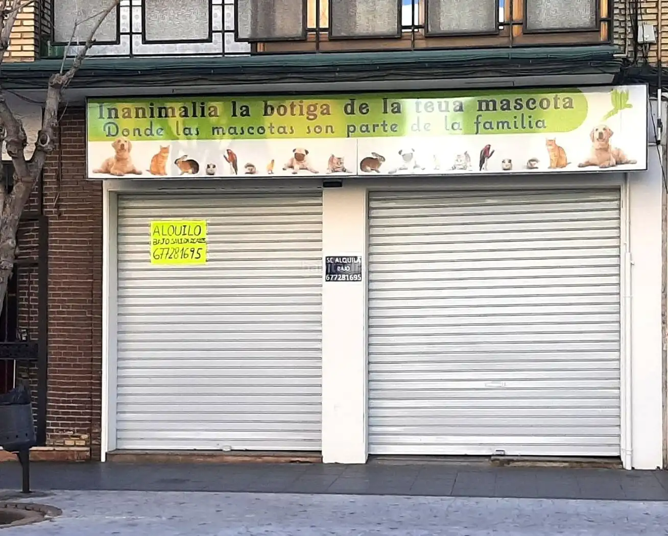 Gewerbefläche zur Miete in Avinguda del Camí Nou 27, imagen 4