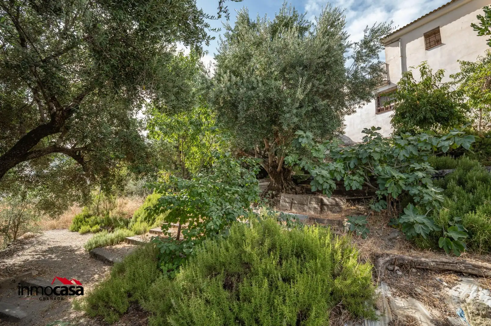Haus zum Verkauf in CRUZ CAÑIZARES, imagen 60