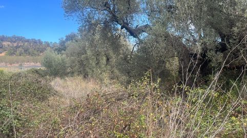 Finca en Horta de Sant Joan, imatge 5