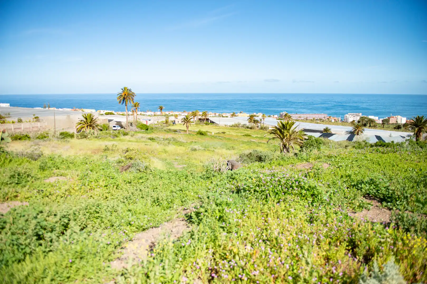 Terreno en venta en San Cristóbal de la Laguna