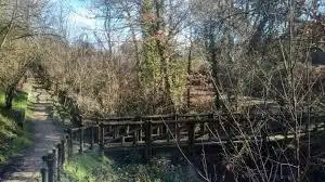 Vista exterior de Finca rústica en venda en Villaviciosa de Odón amb Aire condicionat, Calefacció i Jardí privat