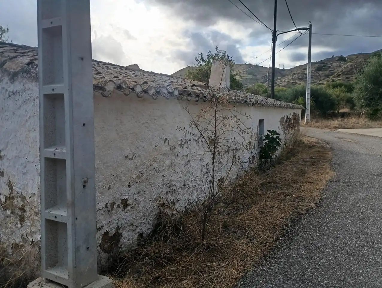 Vista exterior de Finca rústica en venda en Bédar amb Jardí privat i Terrassa