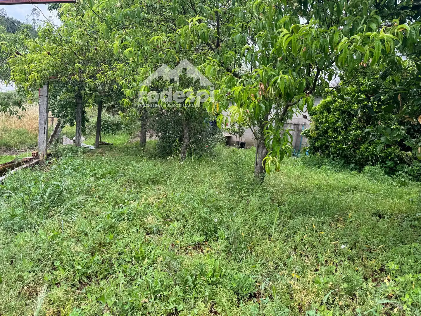 Casa o xalet en venda en Crecente amb Traster i Moblat