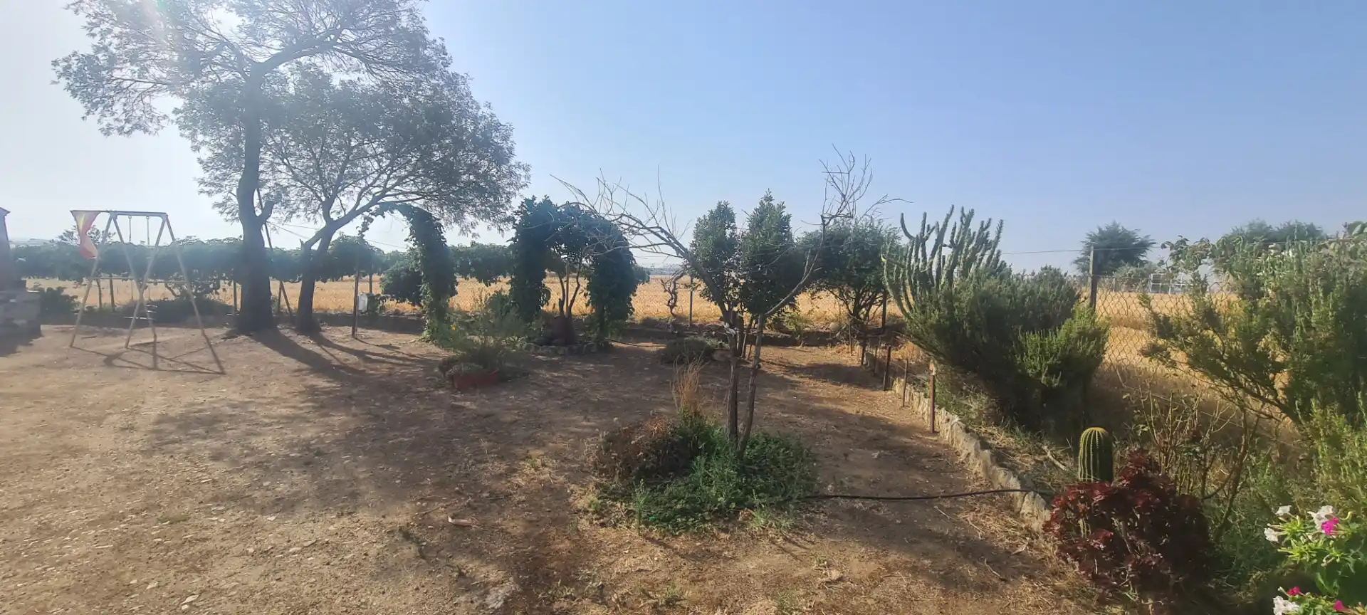 Terreni e lotti in vendita a Azuaga, imagen 21