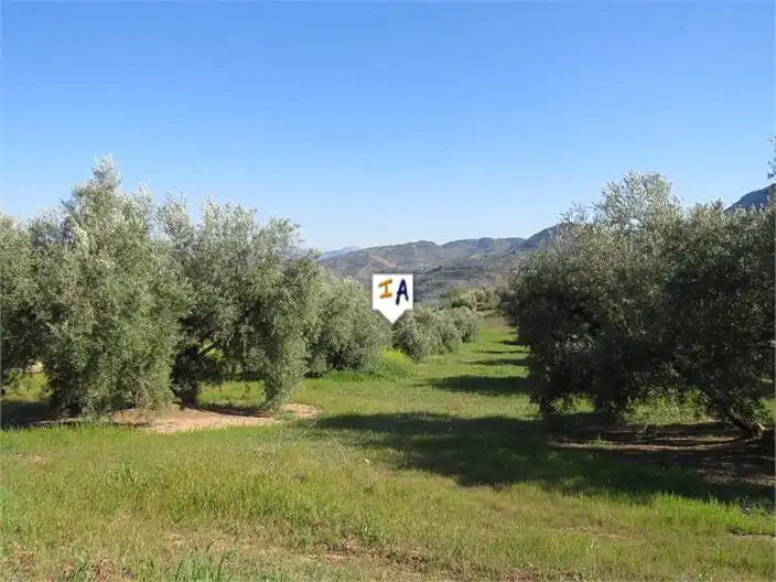 Terreni e lotti in vendita a Martos, imagen 10