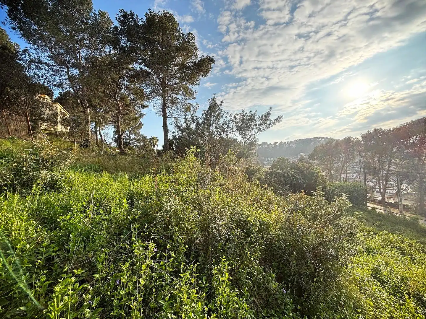 Terreno residencial en venta en Canyelles, imagen 3