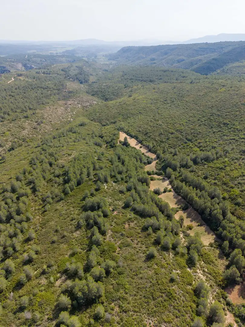 Maison rustique à vendre à Enguera, imagen 10
