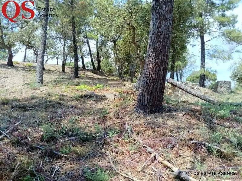 Wohnbaugrundstück zum Verkauf in Terrabrava - Tordera Parc, imagen 4