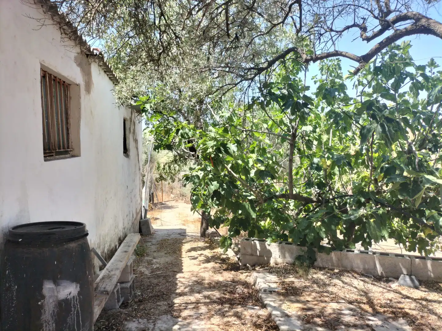Jardín de Casa o chalet en venta en Sax con Jardín privado, Terraza y Trastero