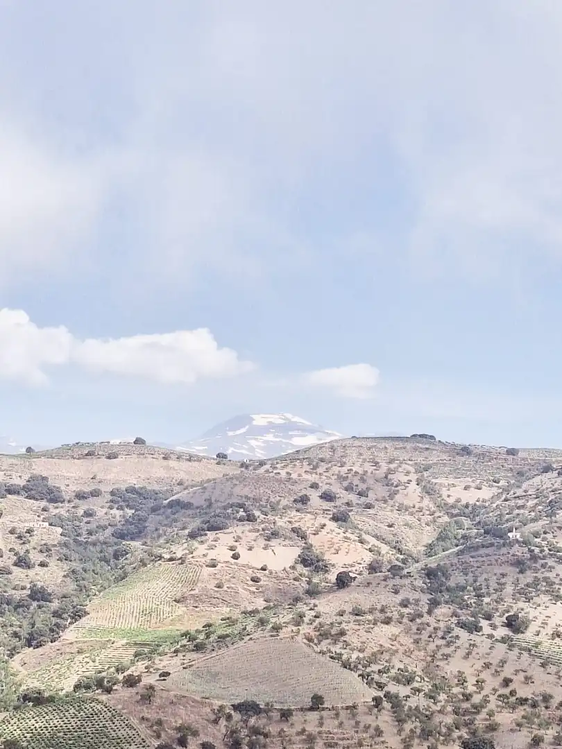 Rural land for sale in Belicena, imagen 16