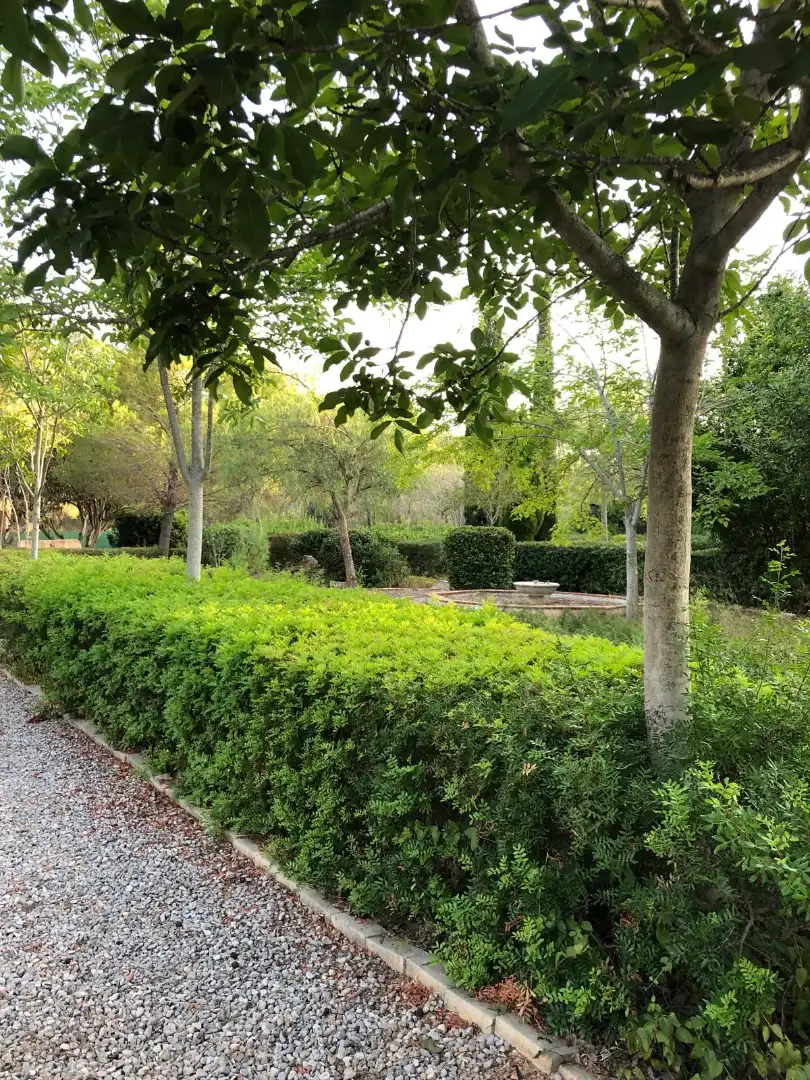 Jardí de Finca rústica en venda en Albalat dels Tarongers, Valencia