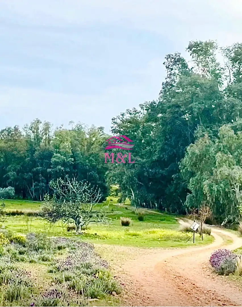 Terreni e lotti in vendita a Oeste, imagen 4