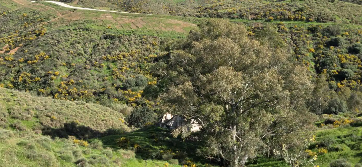Terreni e lotti in vendita a Valtocado - La Alquería - La Atalaya, imagen 7