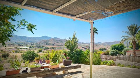 Foto 4 de Finca rústica en venta en Hondón de las Nieves / El Fondó de les Neus, Alicante