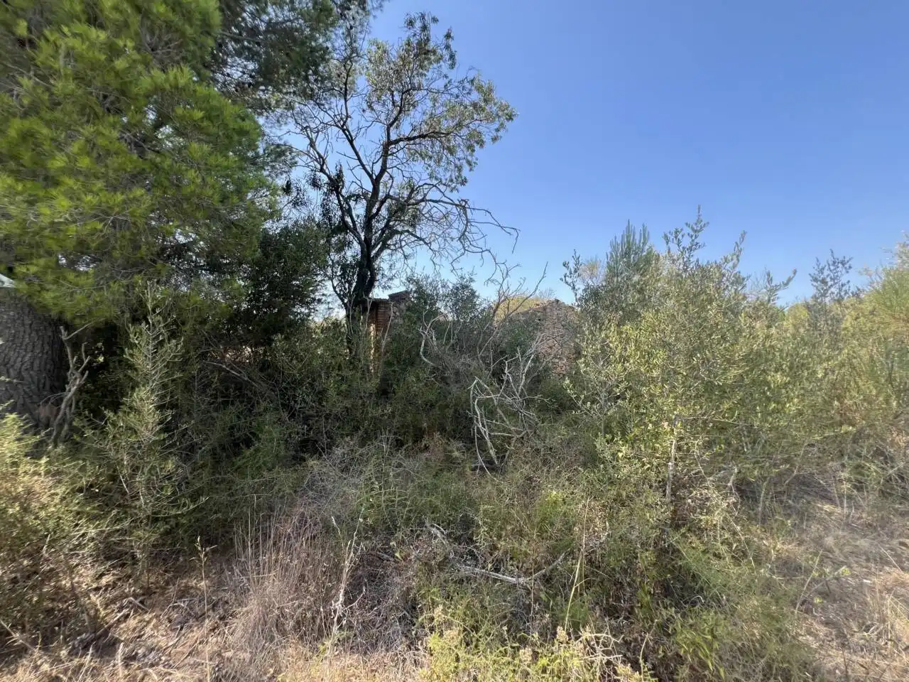 Rural land for sale in Camino Aleixar 15, imagen 11