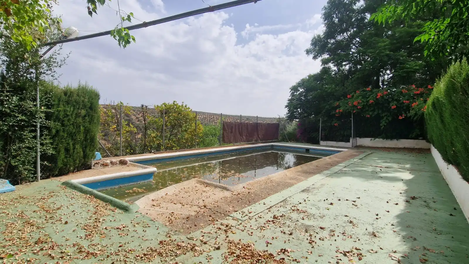 Swimming pool of Land for sale in Montoro