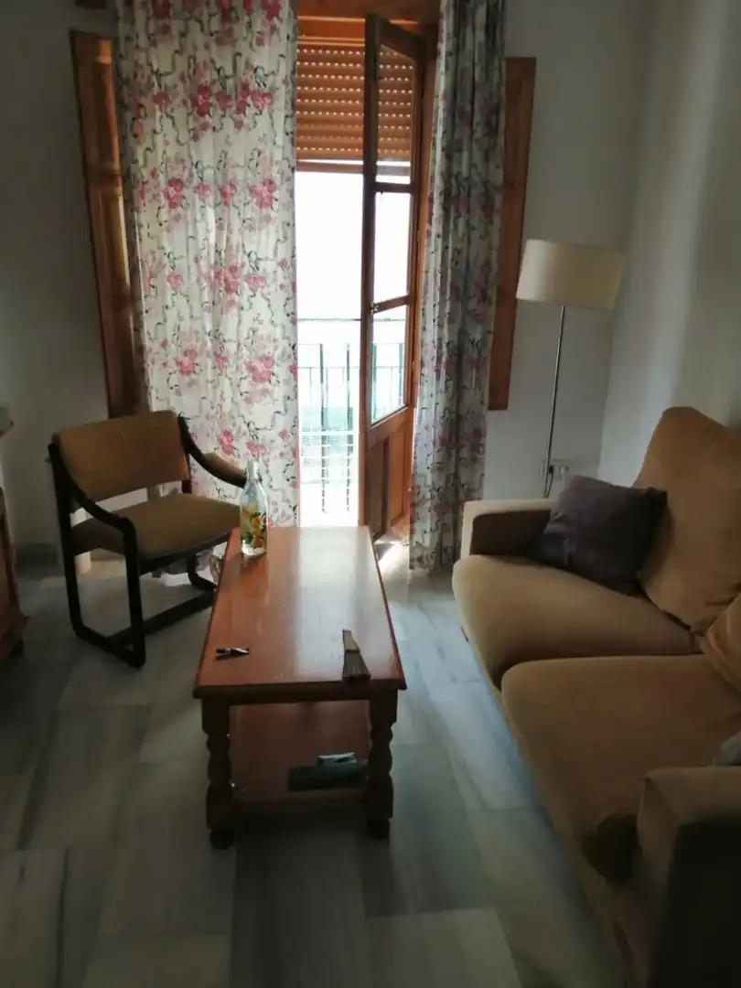 Living room of Flat for rent in Granada  with Furnished