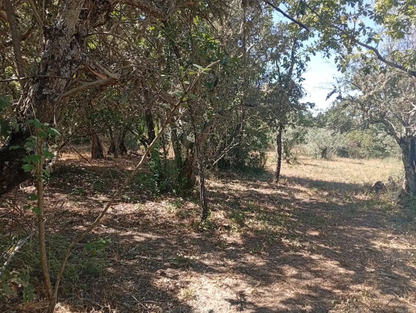 Terreni e lotti in vendita a Villanueva de la Vera, imagen 33