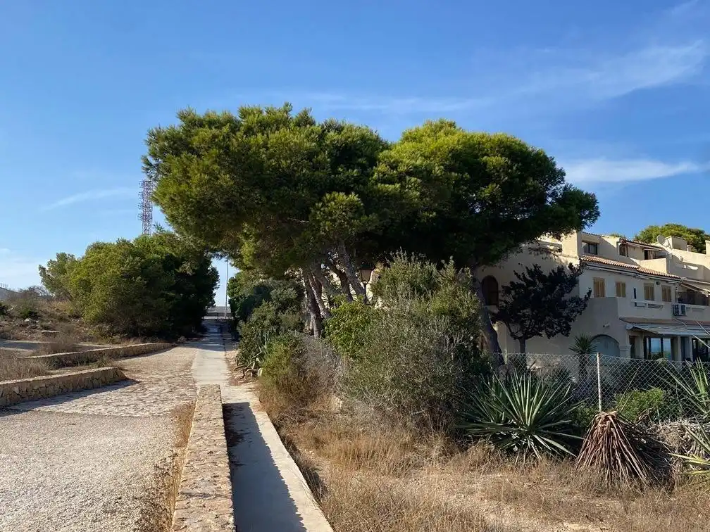 Flat with terrace for sale in Gran Alacant, imagen 24