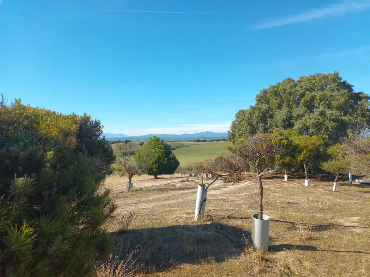 Finca rústica en venta en Brunete