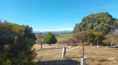 Foto 2 de Finca rústica en venta en Brunete, Madrid