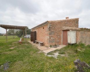 Vista exterior de Finca rústica en venda en Santa María del Camí amb Jardí privat