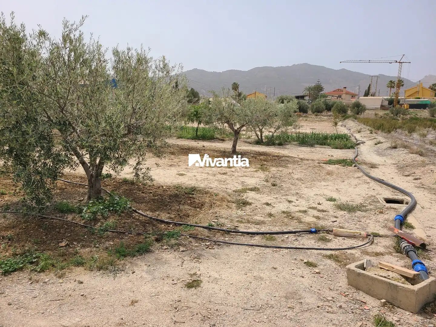 Casa o chalet en venta en Lorca con Terraza y Amueblado