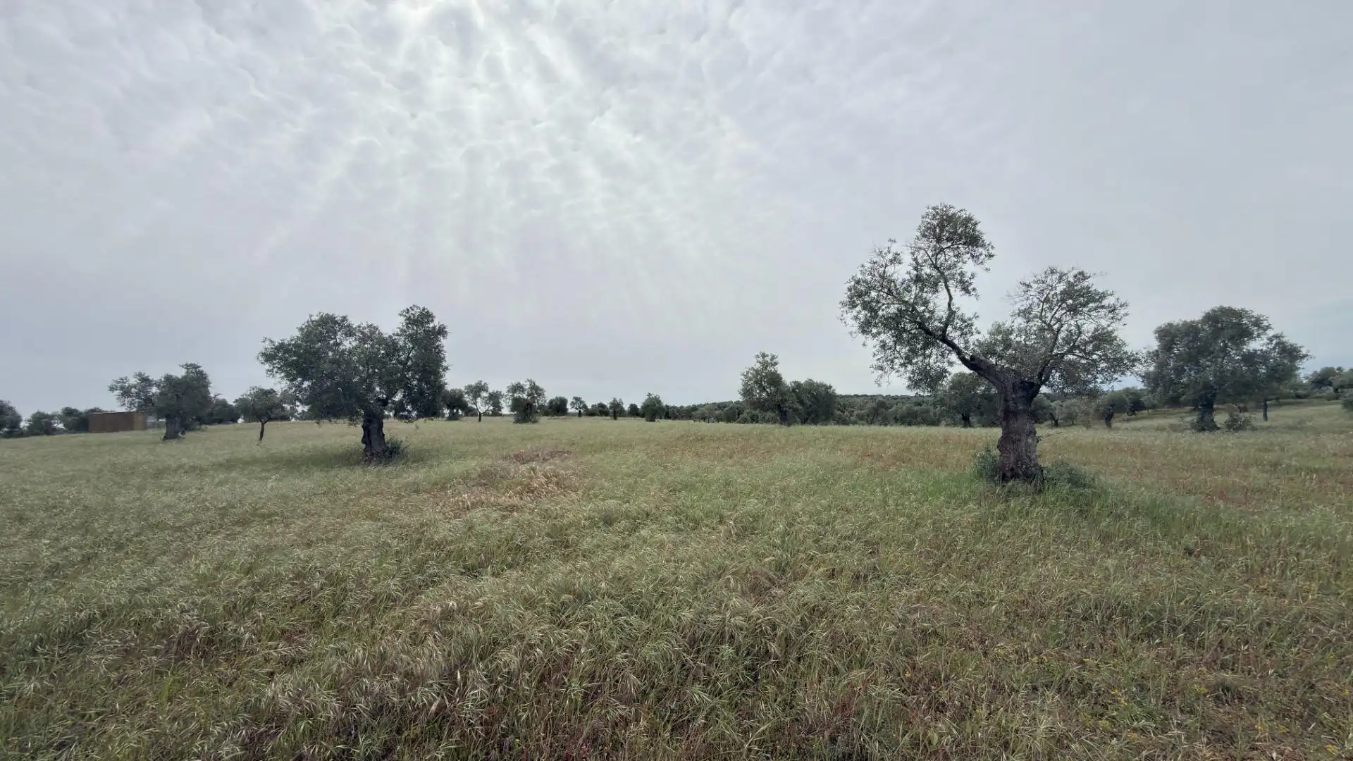 Terreni e lotti in vendita a Beas, imagen 6