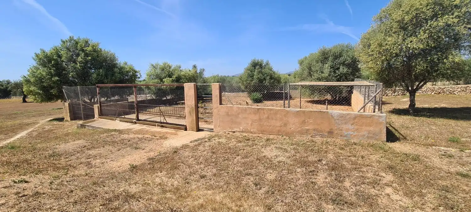 Casa rústica en venta en Manacor Centre, imagen 6