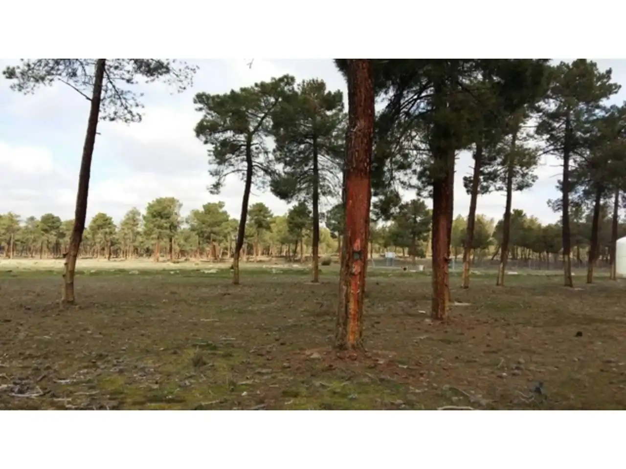 Terreni e lotti in vendita a Tiñosillos, imagen 5