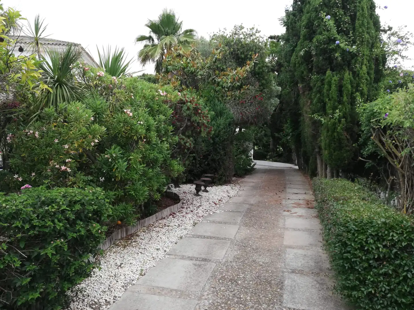 Chalet con terraza en venta en Roche, imagen 34