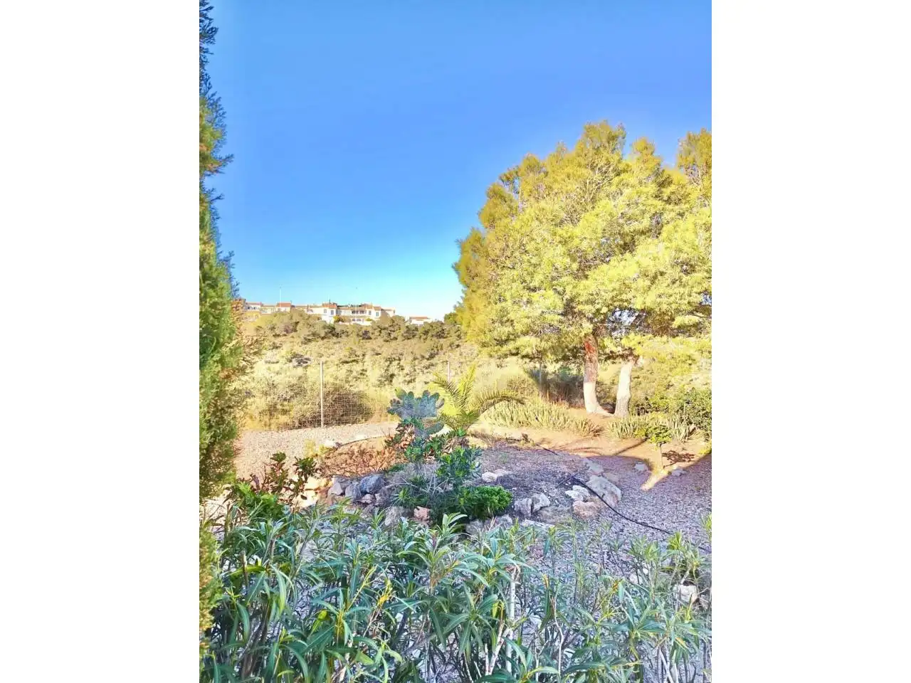 Adossat amb piscina en venda a Gran Alacant, imagen 17