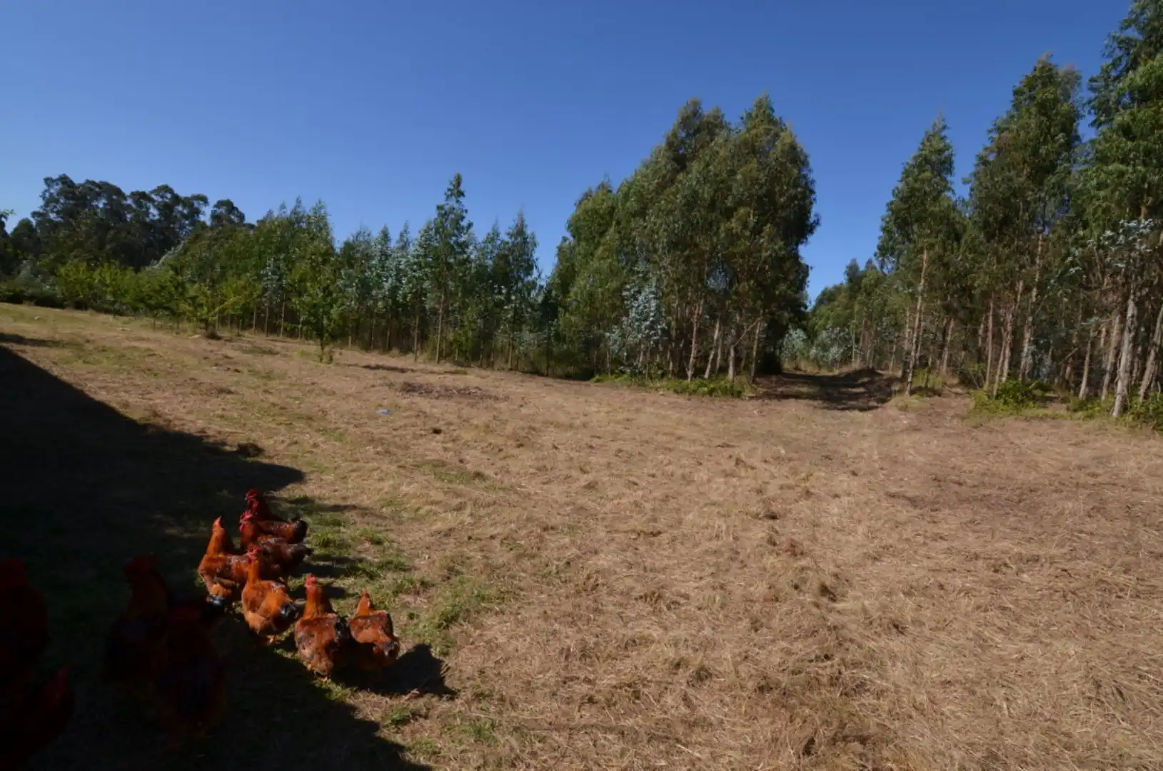 Casa o chalet en venta en Coirós con Trastero, Balcón y Internet