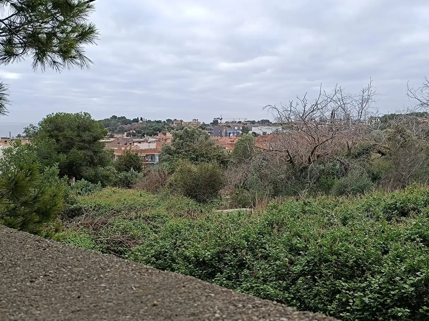Terreny residencial en venda a Llevant, imagen 13