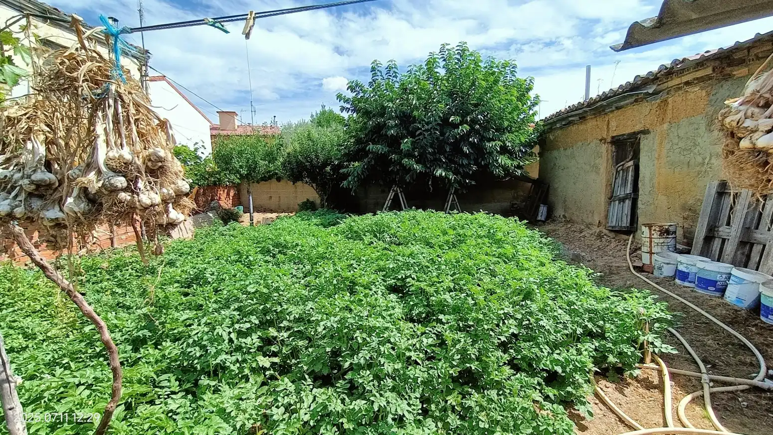 Garden of Houses for sale in Astorga