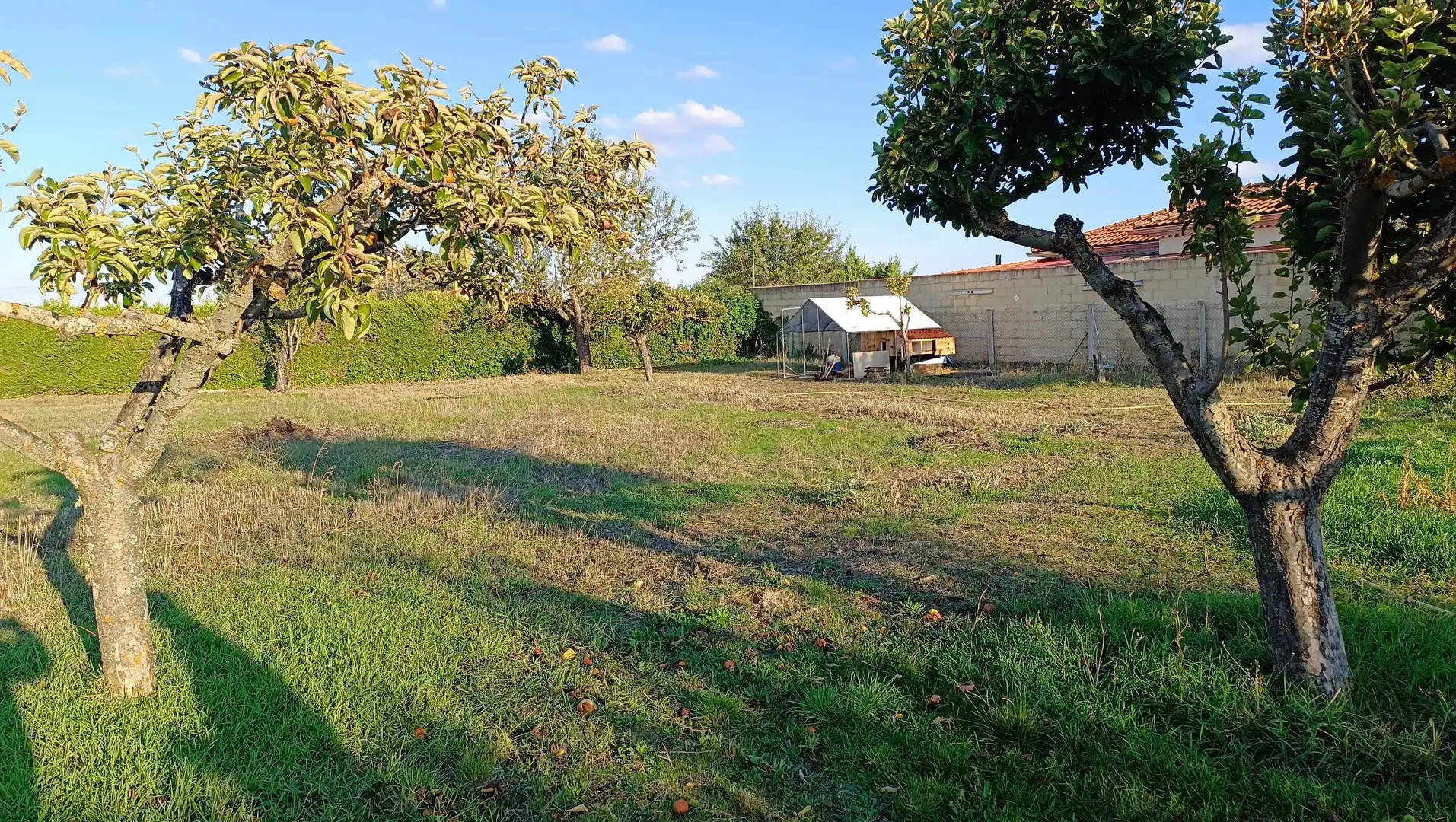 Terreno rustico in vendita a Castellanos de Villiquera, imagen 8