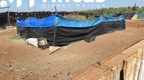 Foto 5 de Finca rústica en venda a  Polígono 7 Paraje 32 Dehesa Yegua, 21, Los Molares, Sevilla