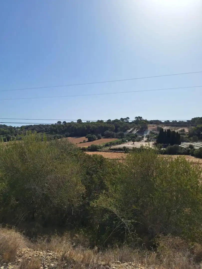 Terreny rústic en venda a Muro, imagen 16