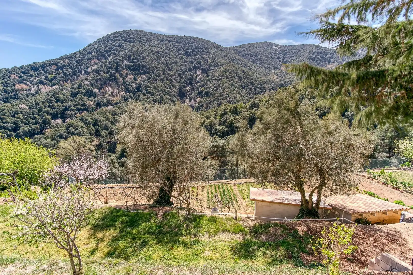 Haus mit Garten zum Verkauf in Niàgara Parc - Àgora Parc, imagen 51