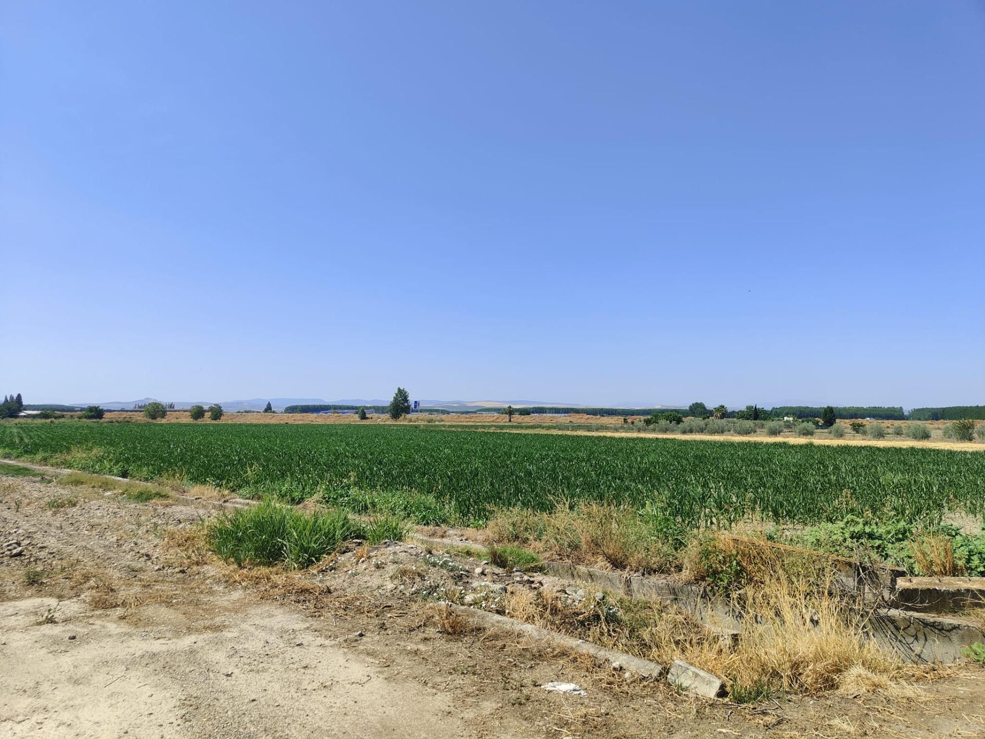 Terreno en venta en Atarfe