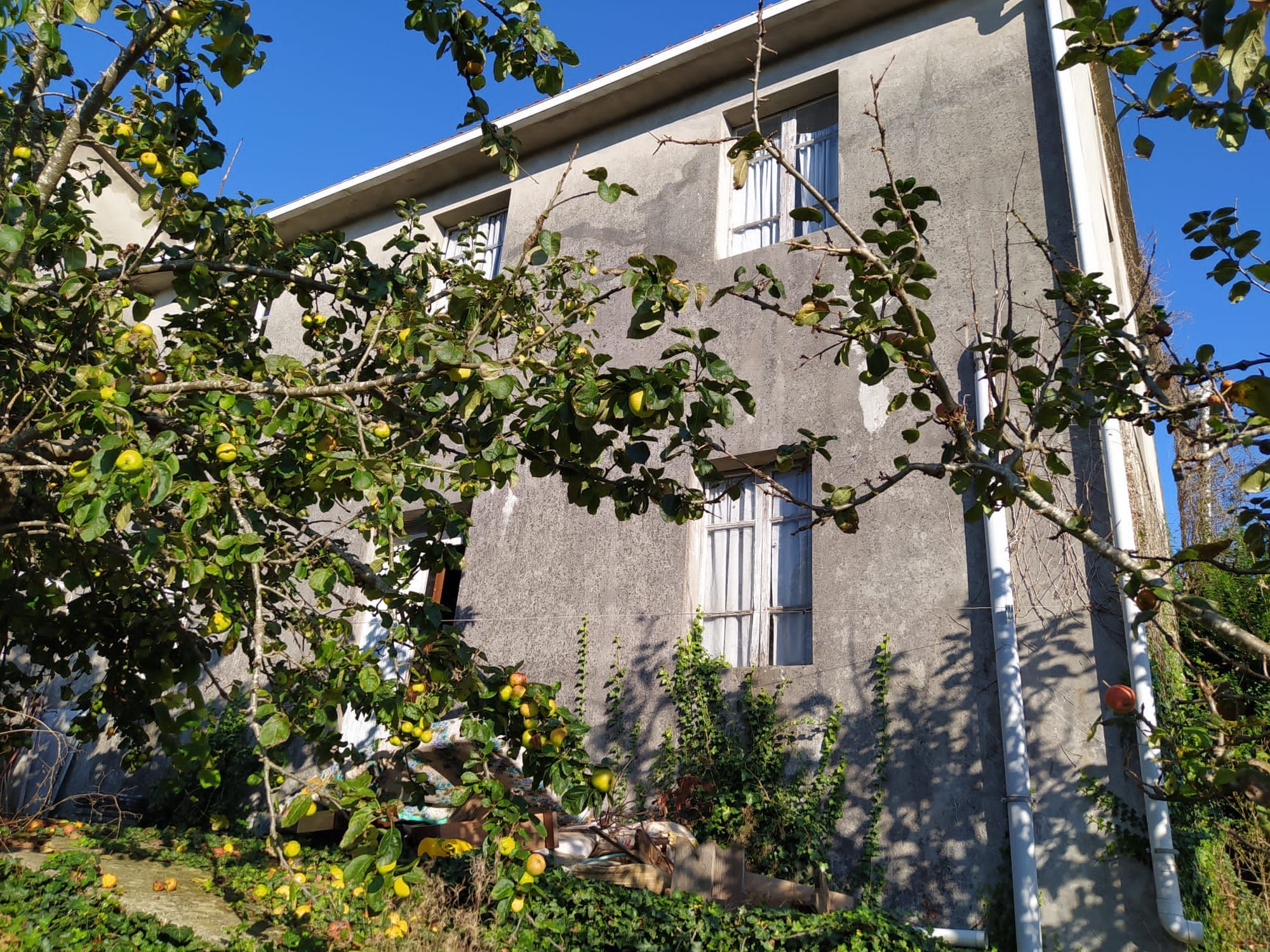 Vista exterior de Casa o chalet en venta en Trazo