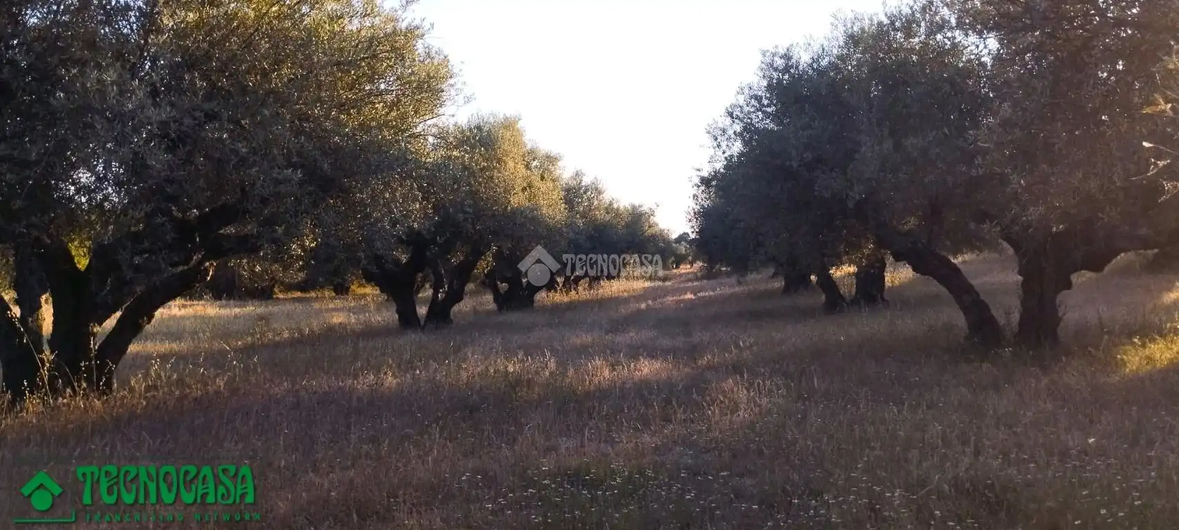 Terreni e lotti in vendita a Méntrida, imagen 11