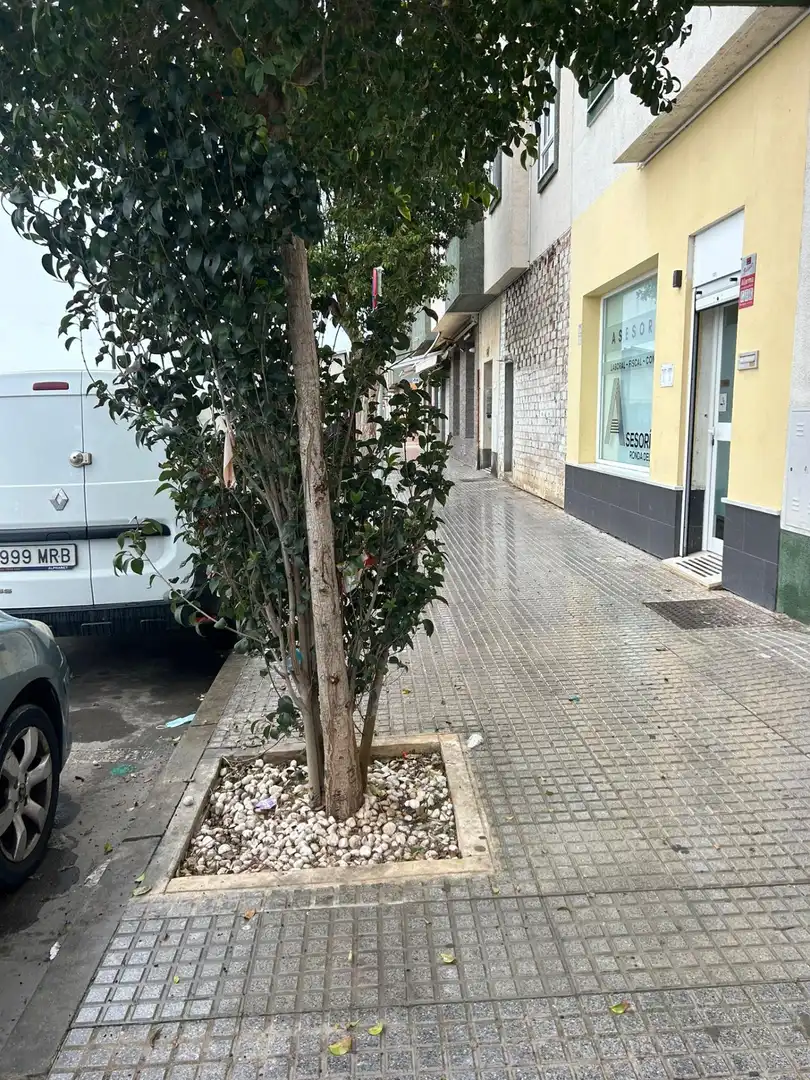 Local comercial en venda a Avenida Ronda Estero, imagen 3
