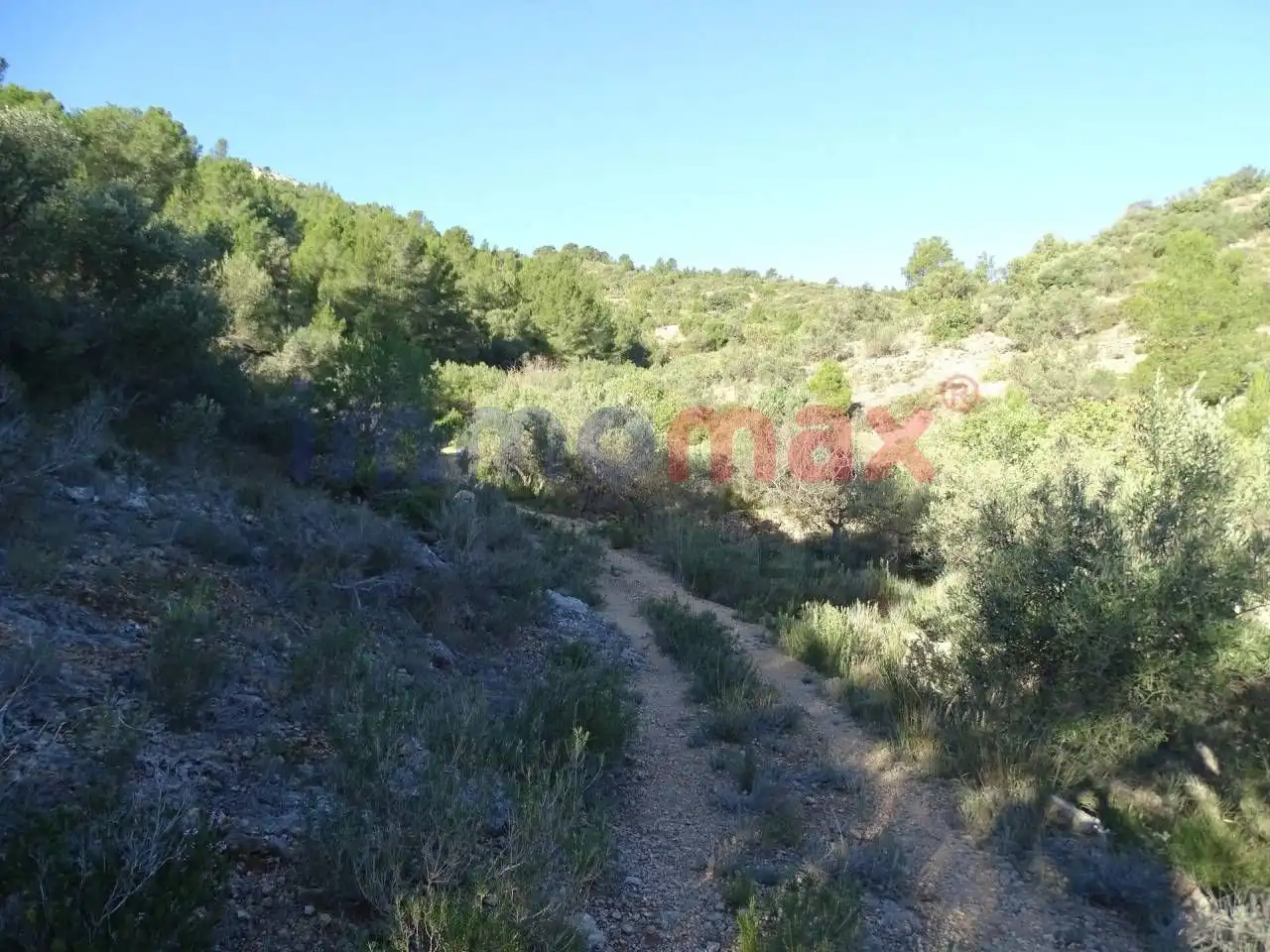 Terrain résidentiel à vendre à Xerta, imagen 11