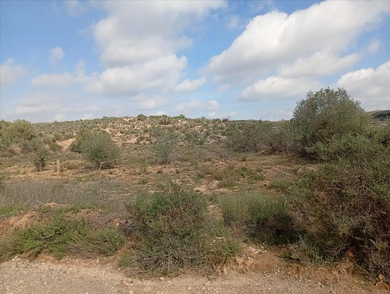 Terreny residencial en venda a Polígono 18 Parcela 147 HIGUERA. ALBOX (ALMERÍA), imagen 13